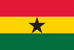加纳 队徽
