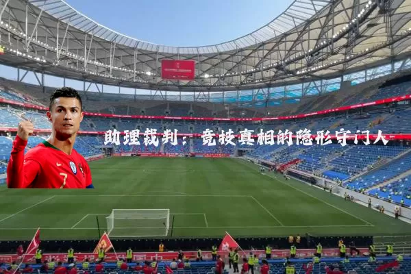助理裁判：竞技真相的隐形守门人